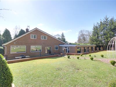 Picture 25